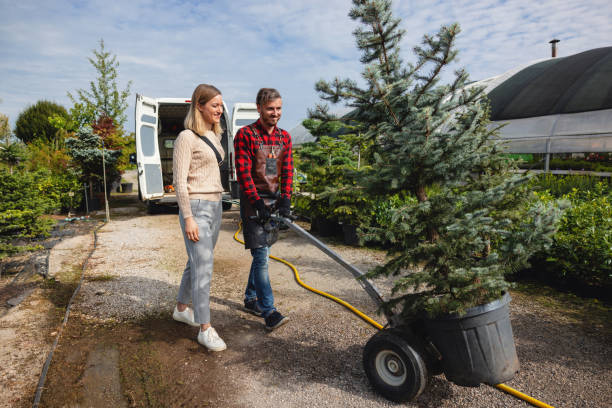 Seasonal Cleanup (Spring/Fall)